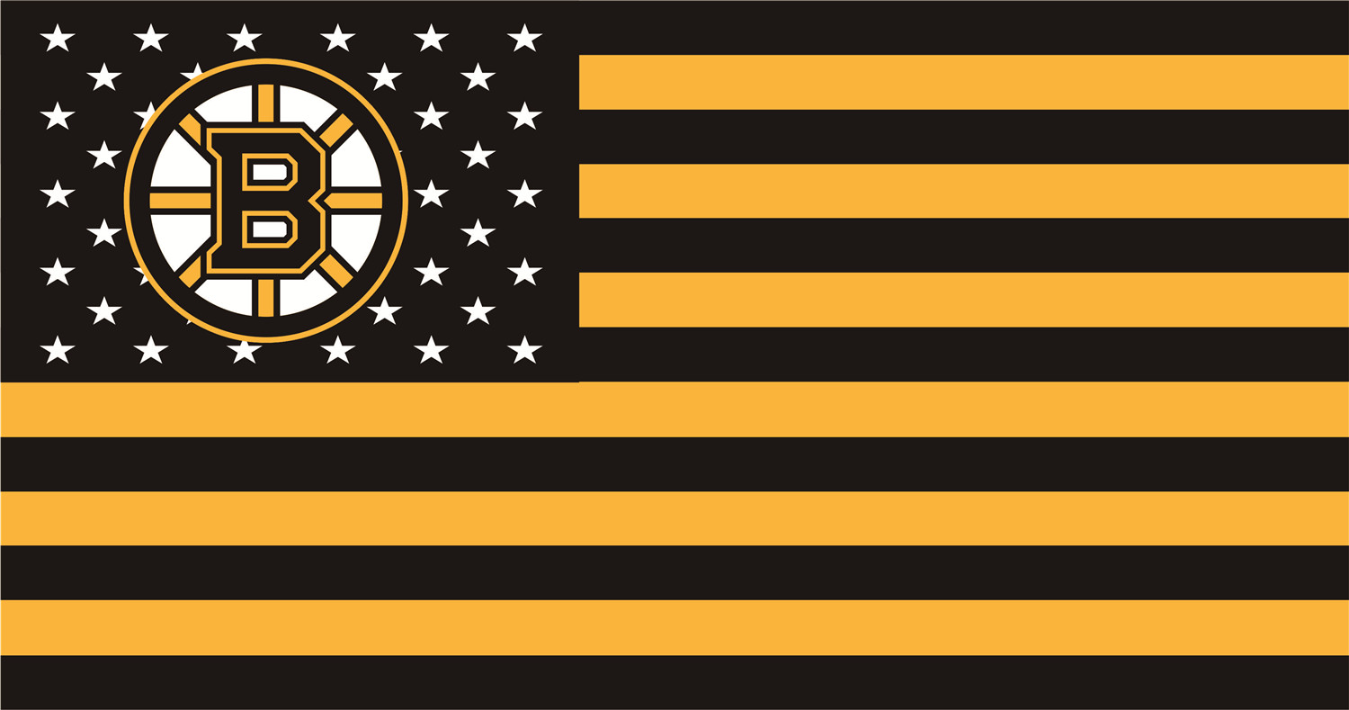 Boston Bruins Flags iron on transfers